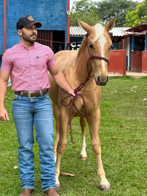 Calça Royal